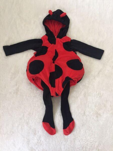 Size 6-9 Months lady bug costume
