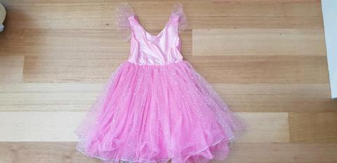 Pink Fairy Dress - Size 5