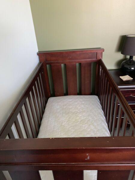 Bruin Cot with Mattress and Protector