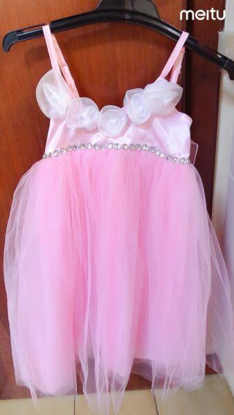 Beautiful Ballet Pink Dress