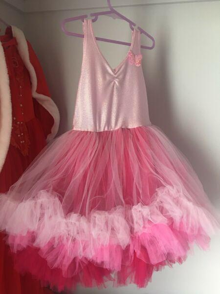 Girls size 4 fairy magic tule dress