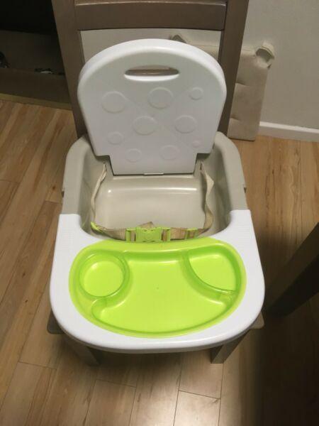 Booster seat/toddler tray table