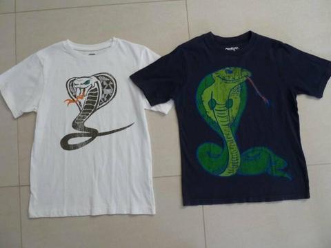 Boys T-shirts x2. Gymboree & OshKosh Brands. 10yrs. Hardly worn